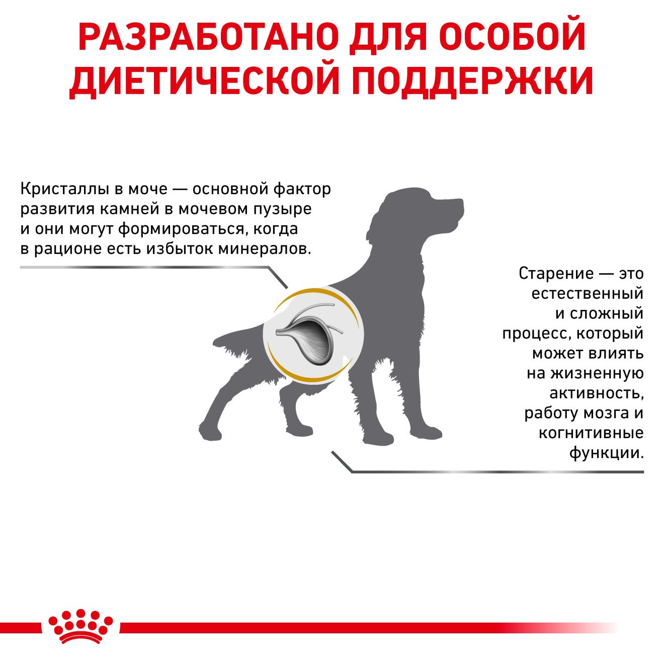 Royal Canin Urinary S/O Ageing 7+