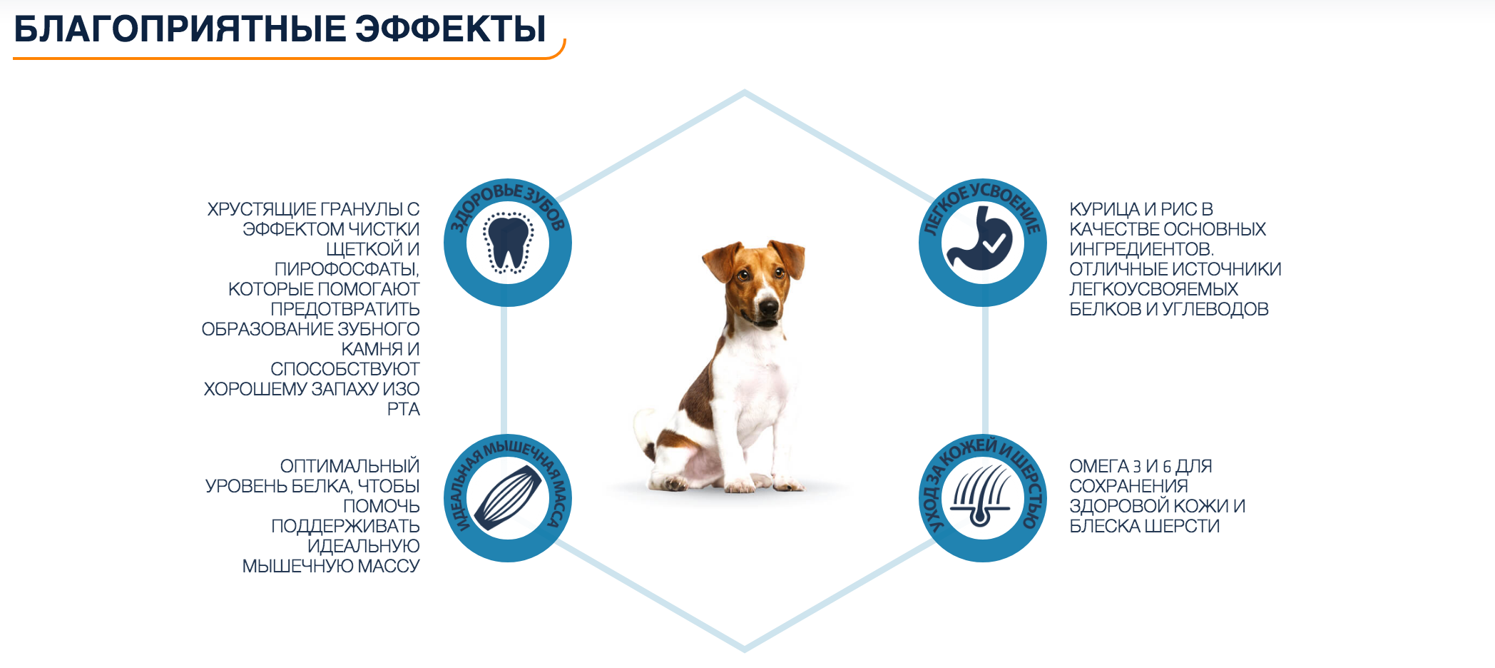 Эдванс Мини Эдалт